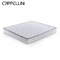 Sleeping Well Latex Spring Mattress Foldable Custom Full King Size Bed Foam Mattress